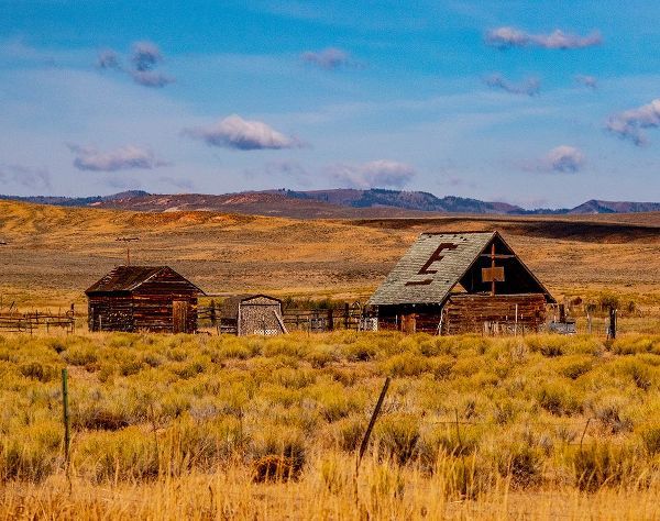 Gulin, Sylvia 아티스트의 USA-Utah-old wooden barn and shed along highway 39 west of Woodruff작품입니다.